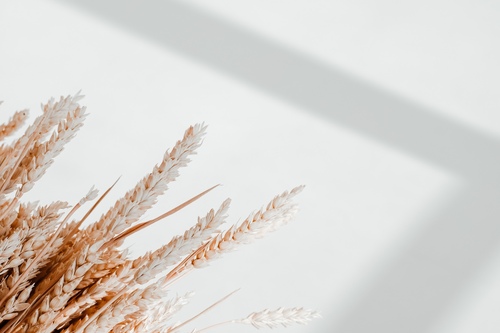 Silvia Desmond-Hoare